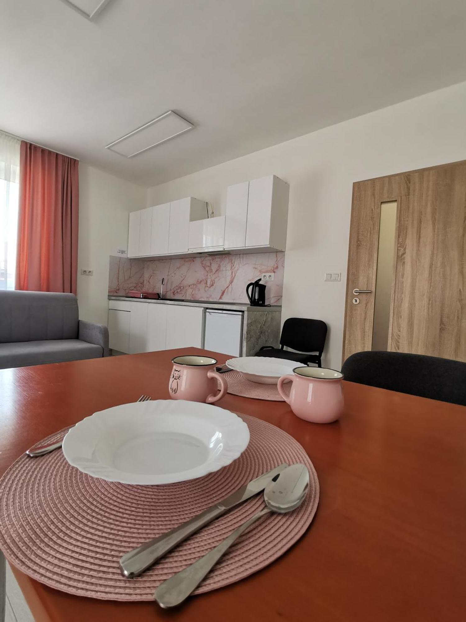 Comenius Apartments - Apartmány na rohu Svidnik Esterno foto